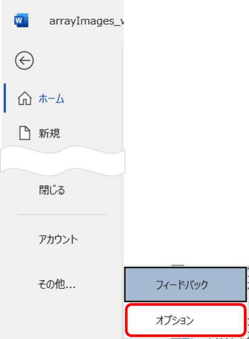 Wordのメニューからその他のオプションを開きます